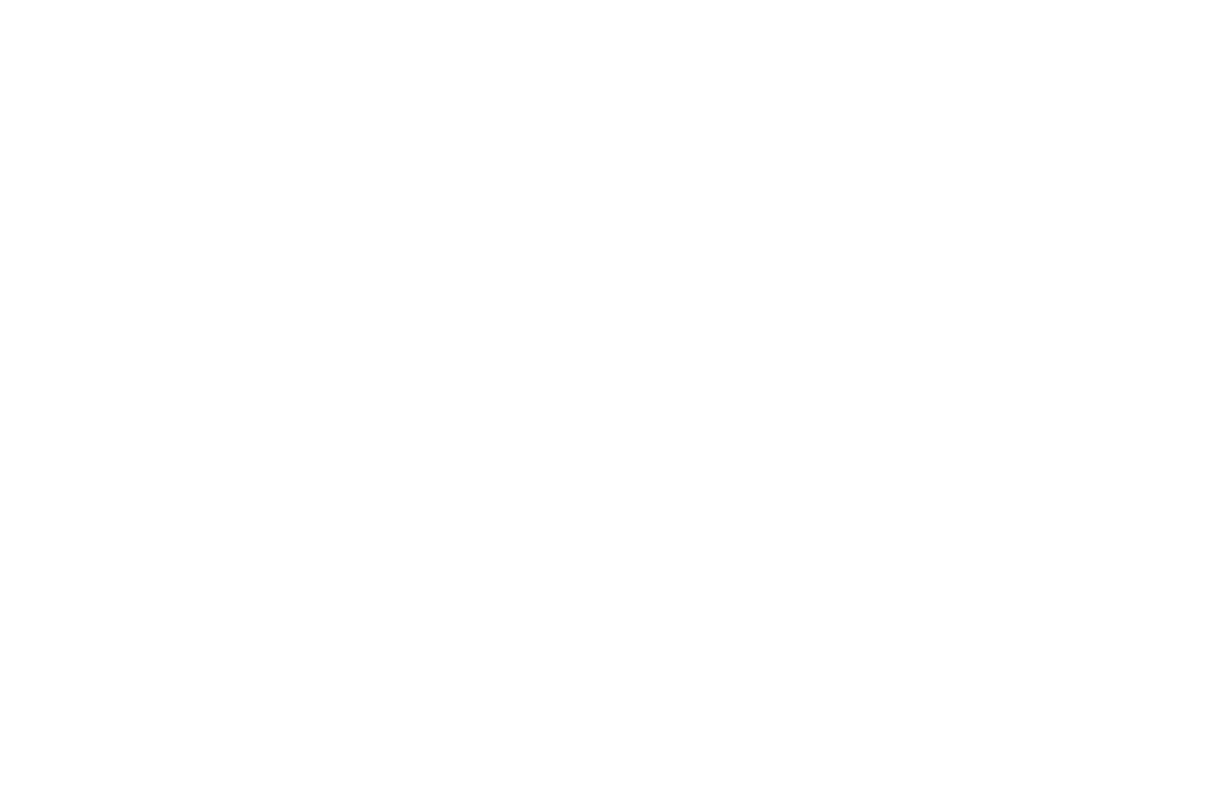 Award Winner - San Francisco Arthouse Short Festival Best Documentary Short 2021